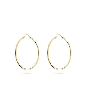 Oorbellen - 18 kt | Swing