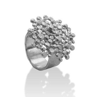 Ring - Zilver | Onno