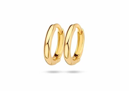 Oorbellen - 14 kt | Blush