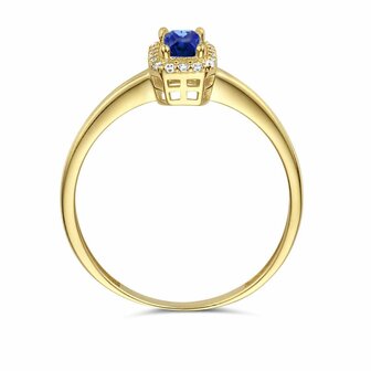 Ring - 14 kt | Kasius
