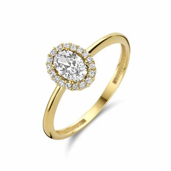 Ring - 14 kt | Kasius