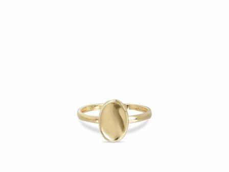 Ring - 18 kt | Swing