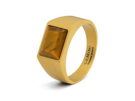 Ring - Titanium | Gemini