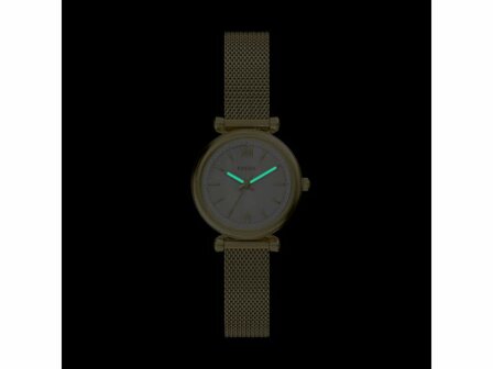 Uurwerk - Fossil