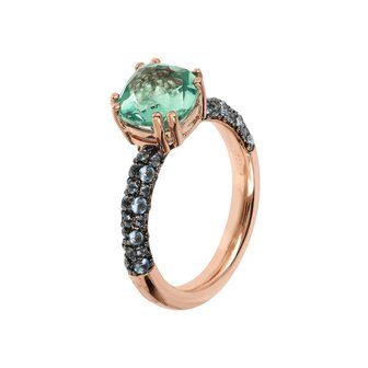 Ring - 18 kt Verguld &reg; | Bronzallure