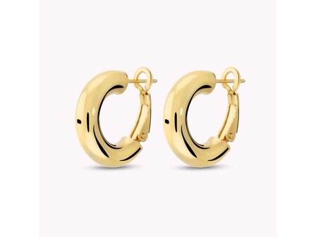 Oorbellen - 18 kt Verguld &reg; | Bronzallure