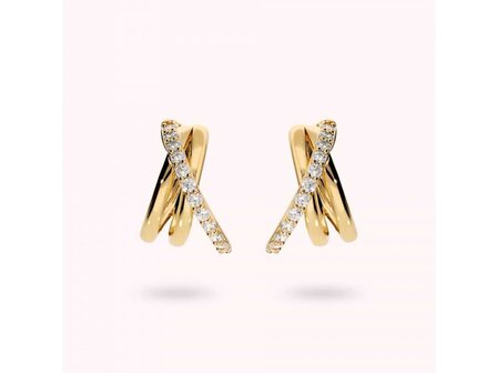 Oorbellen - 18 kt Verguld &reg; | Bronzallure