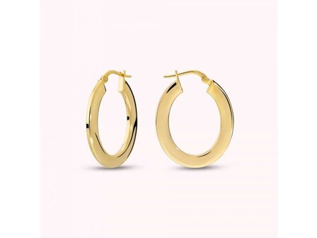 Oorbellen - 18 kt Verguld &reg; | Bronzallure