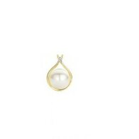Hanger - Briljant 18kt | 18 kt