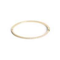 Armband - Staal | Coeur de Lion