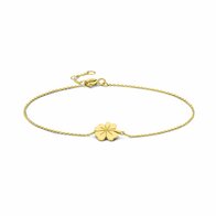 Armband - 14 kt