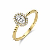 Ring - 14 kt | Kasius