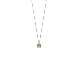 Collier - Zilver | Ti Sento