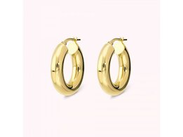 Oorbellen - 18 kt Verguld ® | Bronzallure