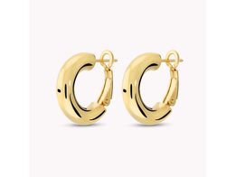 Oorbellen - 18 kt Verguld ® | Bronzallure