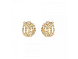 Oorbellen - 18 kt Verguld ® | Bronzallure