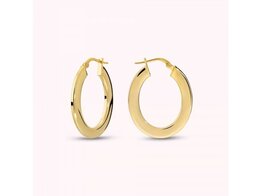 Oorbellen - 18 kt Verguld ® | Bronzallure